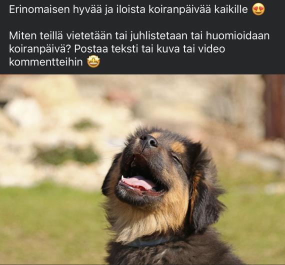Somekuva Koiranpäivästä