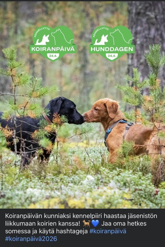 Somekuva Koiranpäivästä