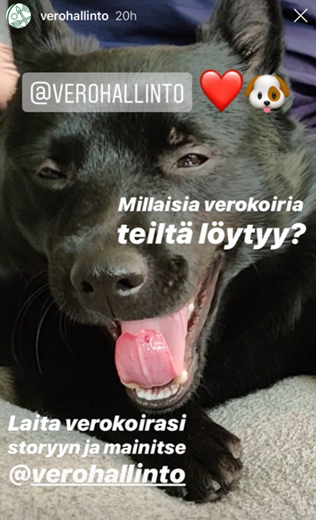 Verohallinnon Instastory Koiranpäivästä