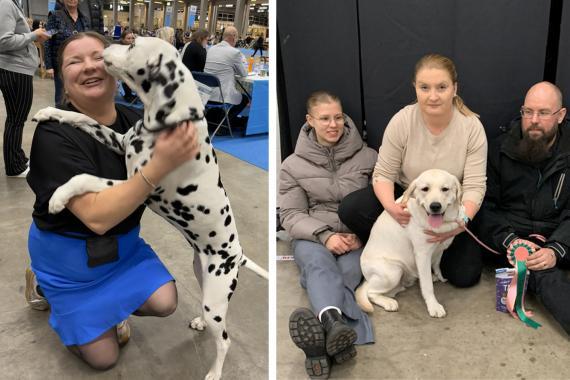 Kaksi Kiva koirakko -palkinnon saanutta koirakkoa.