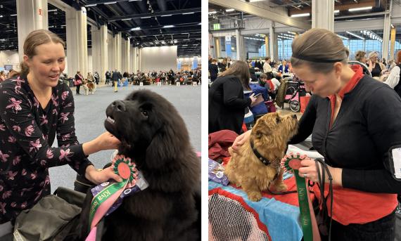 Kaksi Kiva koirakko -palkinnon saanutta koirakkoa.