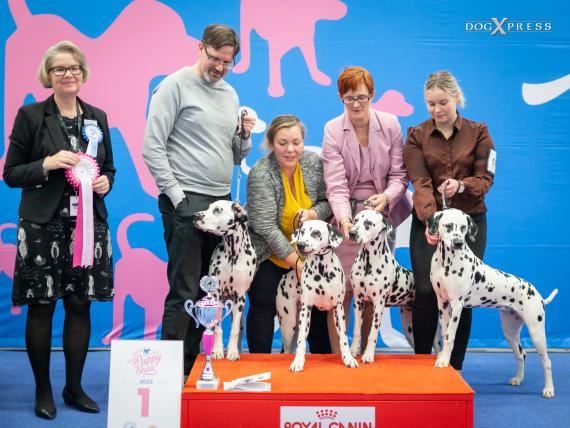 Helsinki Winner 2022 BIS puppy kasvattaja