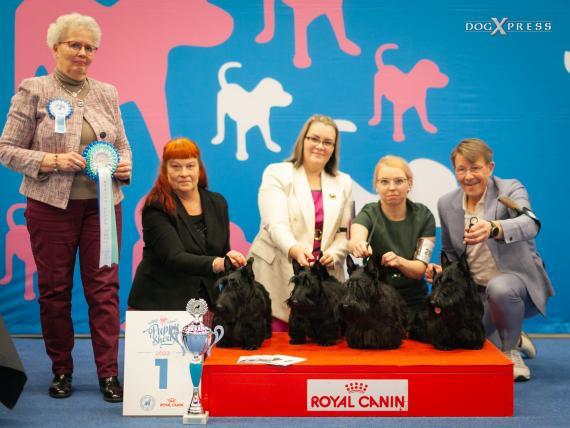 Voittaja Puppy Show 2022 BIS puppy kasvattaja