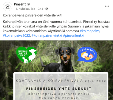 koiranpäivä2022 15