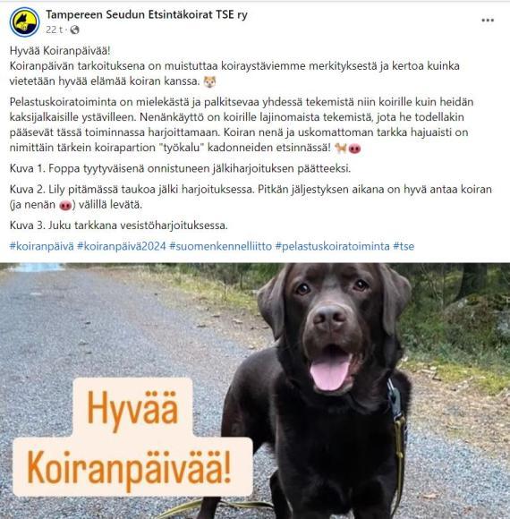 etsijäkoirien kuvia