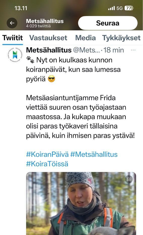 metsähallitus koiranpäivä 2023