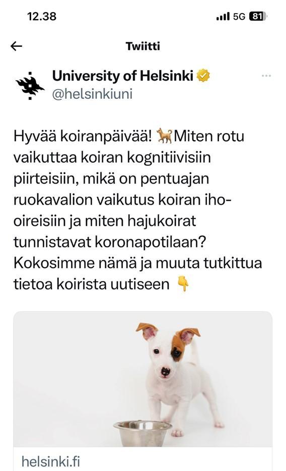 uni helsinki koiranpäivä 2023