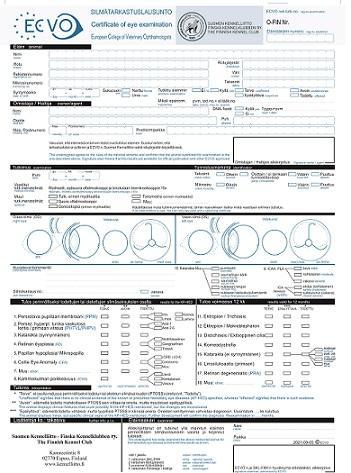 uusi ECVO:n silmätarkastuslomake