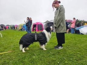 Vaikuttajafoorumi Aada