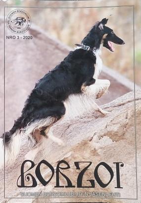 Borzoi 3/2020