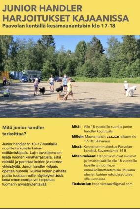 Junior handler treenit Kajaani