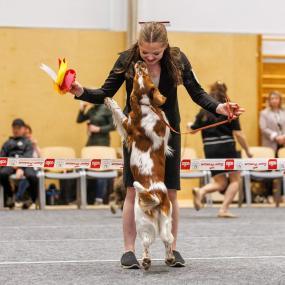 Vaikuttajafoorumi Iita