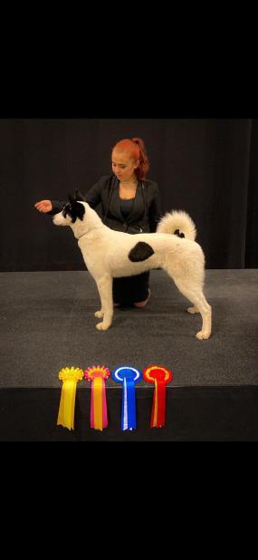 Vaikuttajafoorumi Jatta