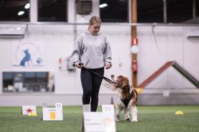 Vaikuttajafoorumi Laura