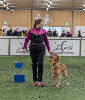 Vaikuttajafoorumi Lotta