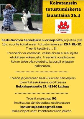 koiratanssi mainos
