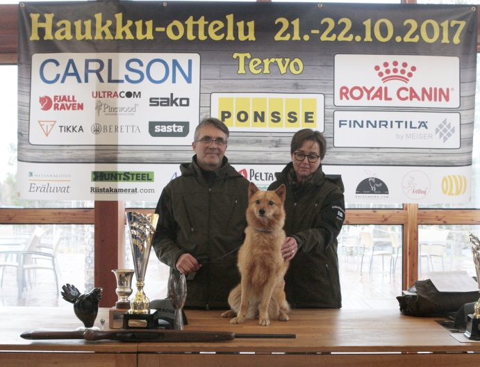 Sauli ja Pirkko Halttusen omistama Karahkan Eka-Essi on vuoden 2017 Haukku-ottelun voittaja. Kuva, Heidi Lahtinen