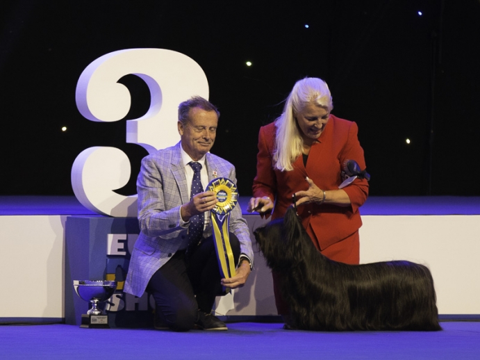 Skye Terrier Finnsky Krystal, owned by Carina Kitti, was placed as BIG 3 in the Terrier group competition.