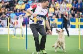 agility MM 2018