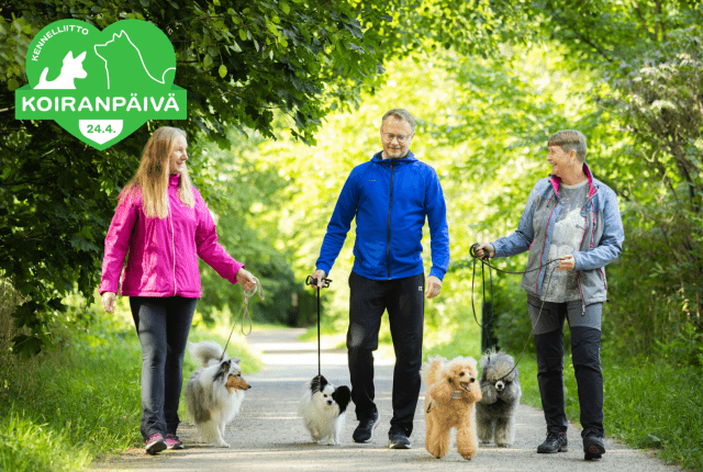 Koiranulkoiluttajat liikkeellä