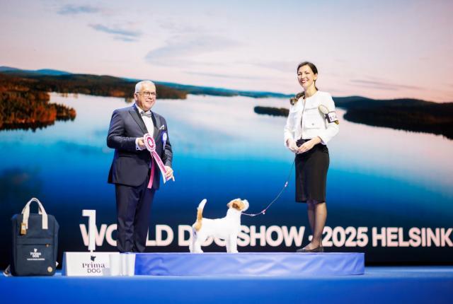 Ulkomuototuomari palkitsemassa koirakkoa näyttelyissä