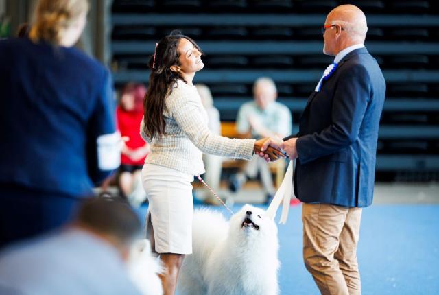 Tuomari palkitsemassa koirakkoa