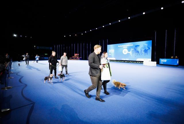 Sankarikoirat 2025 Koiramessuilla