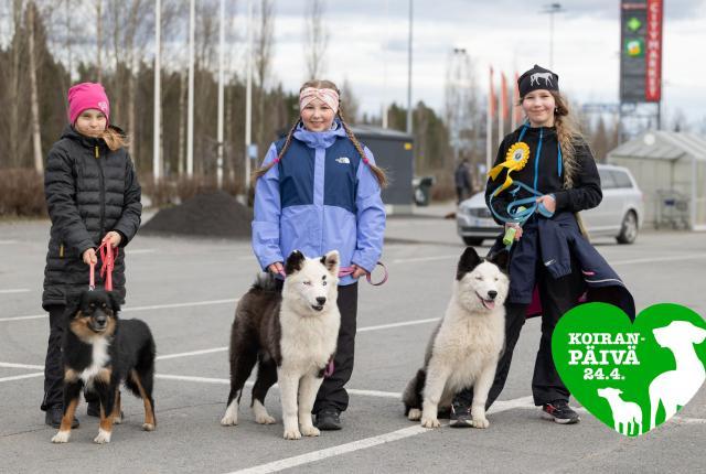 Kolme tyttöä koirineen poseeraa kameralle ulkotapahtumassa