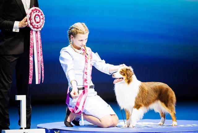 WDS2025 Ch junior handler_Jukka Pätynen