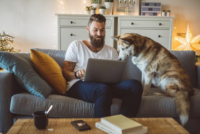 Koira ja omistaja katsovat tietokoneen ruutua