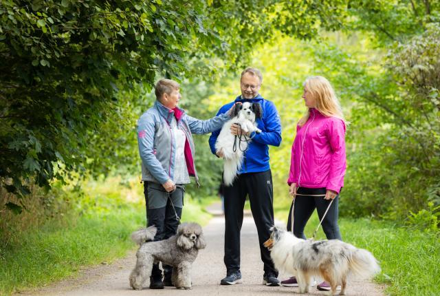 Koirakot kohtaavat lenkkipolulla