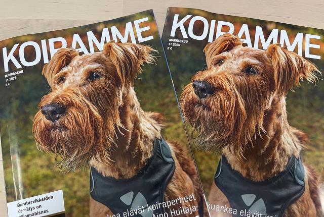Koiramme-lehti marraskuu 2025_1440 x 960