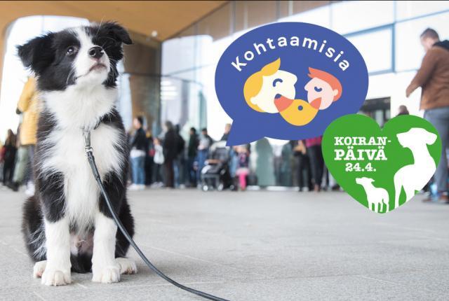 Koiranpäivä 2022