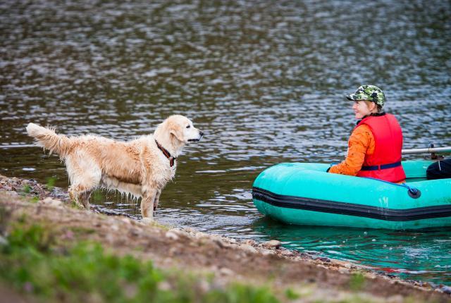 Koira ja mies veneessä veden rannassa