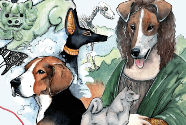 Koiramateriaalia yläkouluille kuva