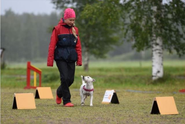 Lapsi harrastamassa rally-tokoa koira vierellään