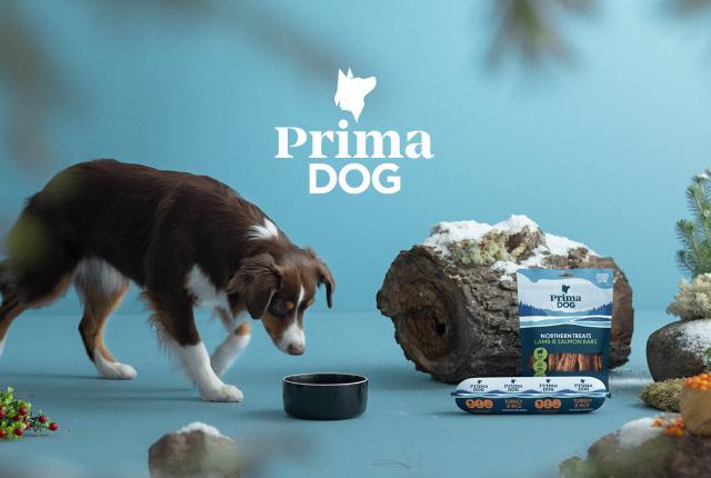 PrimaDog_1440 x 960