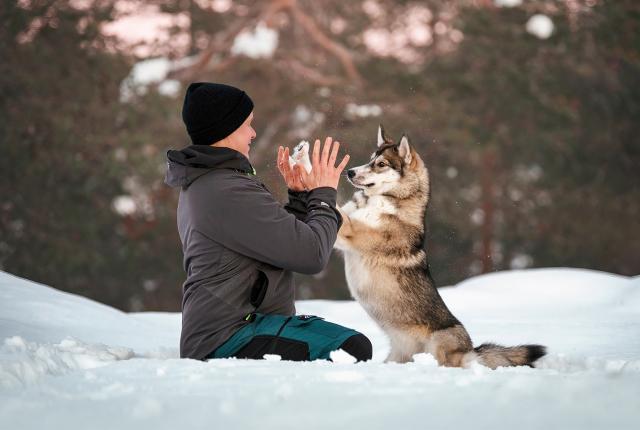 Mies ja pystykorvainen koira ovat hangella vastakkain ja läpsäyttävät kädet ja tassut yhteen. Mies on polvillaan ja koira istuu. Mies on nostanut kätensä eteensä ylös ja koira läpsäyttää tassuillaan miehen käsiin. Taustalla on talvinen metsä.