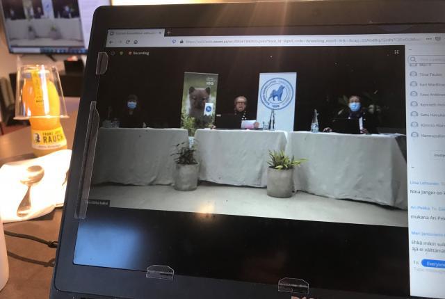 kuva kannettavan tietokoneen näytöstä, jossa yleiskuva Kennelliiton valtuuston ylimääräisestä kokouksesta, joka pidettiin etäyhteyksin
