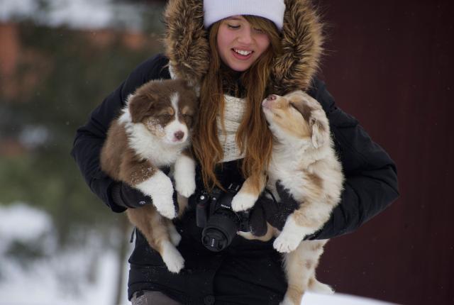 tyttö kantaa kahta koiranpentua sylissä