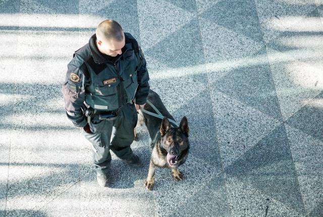 Rajakoirat työskentelevät maarajoilla, mutta myös Helsinki-Vantaan lentokentällä.