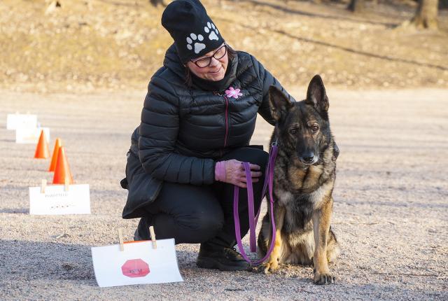 ihminen ja koira rallytokon radalla