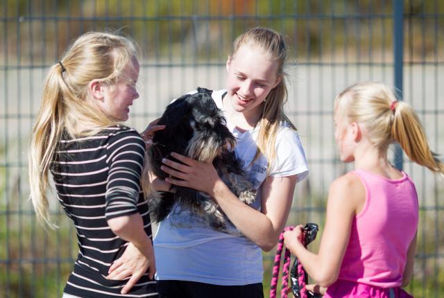Kuva nuorista tytöistä koiran kanssa