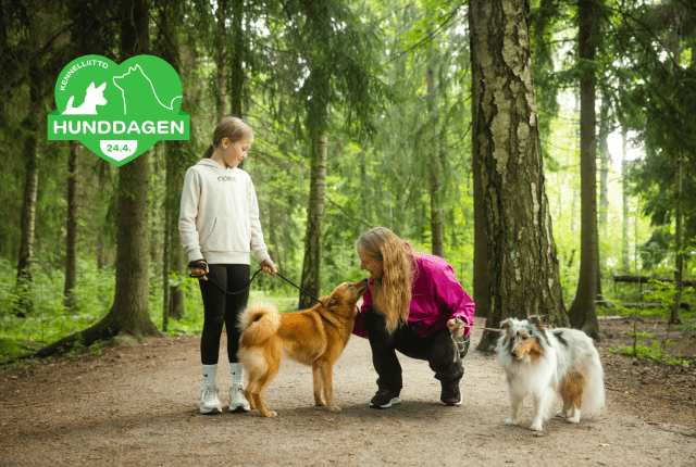 Hunddagen 2026