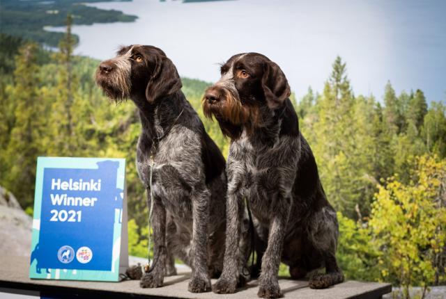 karkeakarvaiset saksanseisojat