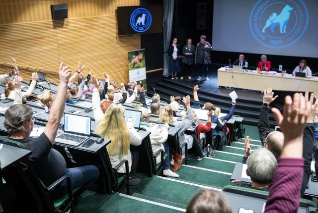 Näkymä Kennelliiton valtuustosaliin, jossa valtuutetut istuvat penkeissään ja ovat nostaneet kätensä ylös, menossa on ehkä äänestys.