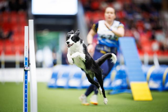Agility MM 2018_840 x 560_Jukka Pätynen