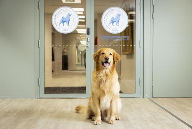 Toimiston ovet_Pekka Rousi_1440 x 960