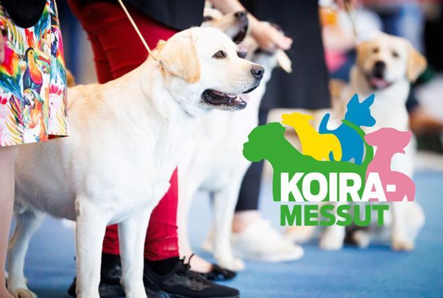 Koiramessut 2025_840 x 560