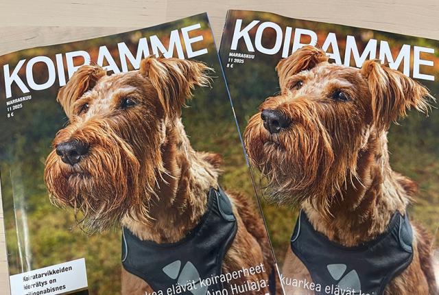 Koiramme-lehti marraskuu 2025_840 x 560